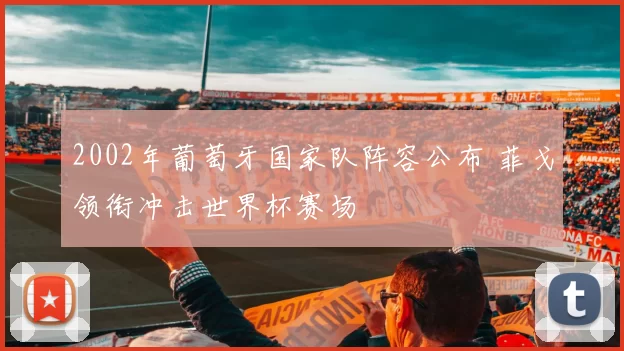 2002年葡萄牙国家队阵容公布 菲戈领衔冲击世界杯赛场