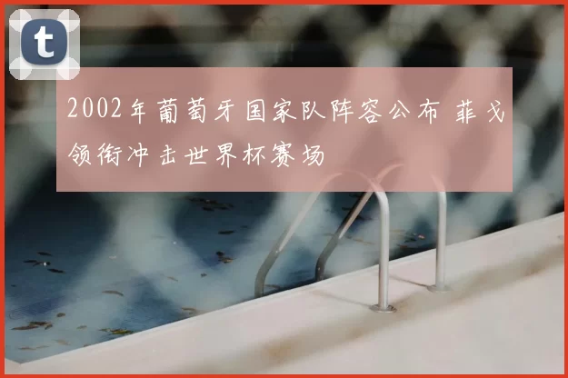 2002年葡萄牙国家队阵容公布 菲戈领衔冲击世界杯赛场