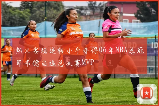 热火客场逆转小牛夺得06年NBA总冠军韦德当选总决赛MVP