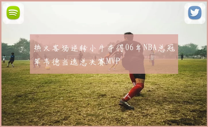 热火客场逆转小牛夺得06年NBA总冠军韦德当选总决赛MVP