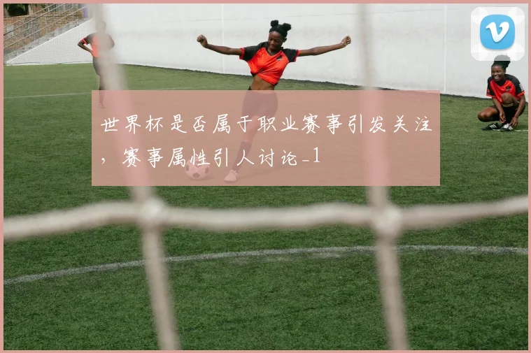 世界杯是否属于职业赛事引发关注,赛事属性引人讨论_1