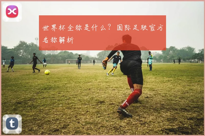 世界杯全称是什么?国际足联官方名称解析