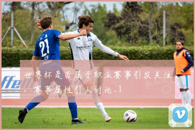 世界杯是否属于职业赛事引发关注,赛事属性引人讨论_1